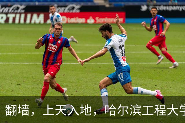 翻墙，上天入地，哈尔滨工程大学的奇葩处分内幕